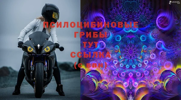 стафф Бородино