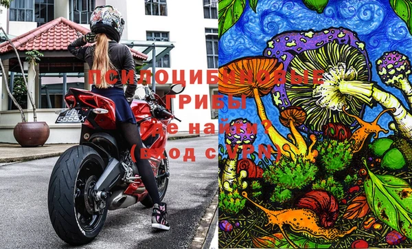 стафф Бородино