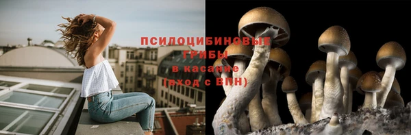стафф Бородино