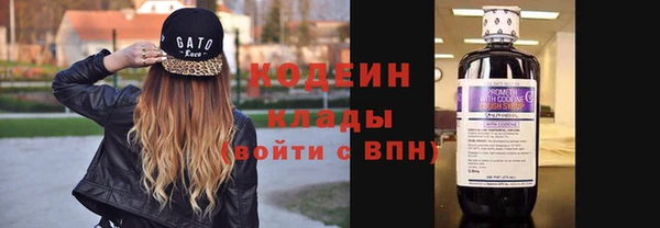 стафф Бородино