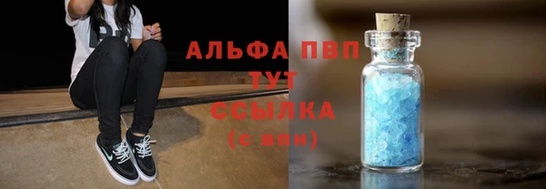 стафф Бородино