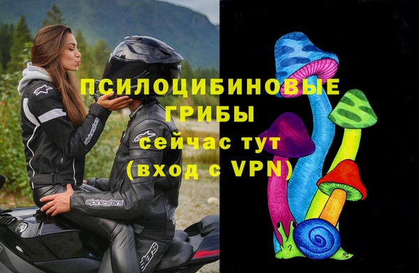 трава Бронницы
