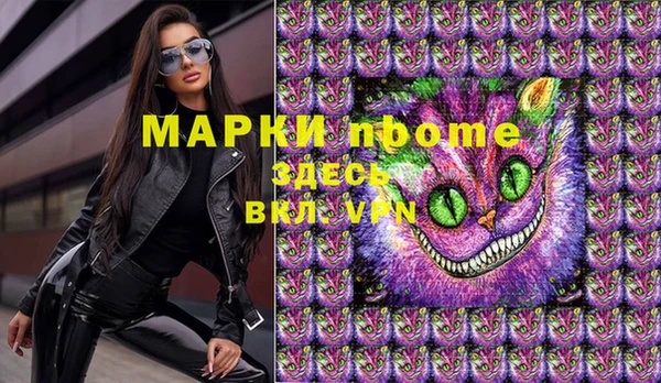стафф Бородино