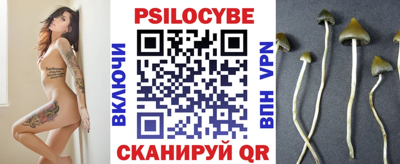 Купить где  Беслан  Галлюциногенные грибы прущие грибы 